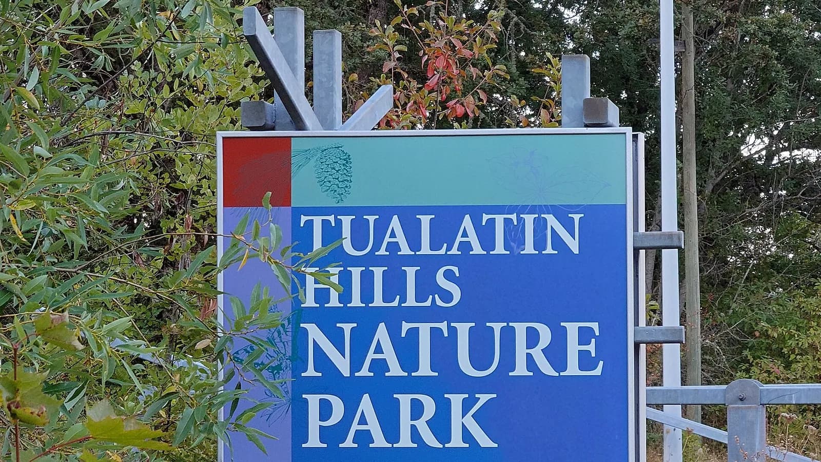 Tree-lined Beaverton street with Tualatin Hills greenway feel