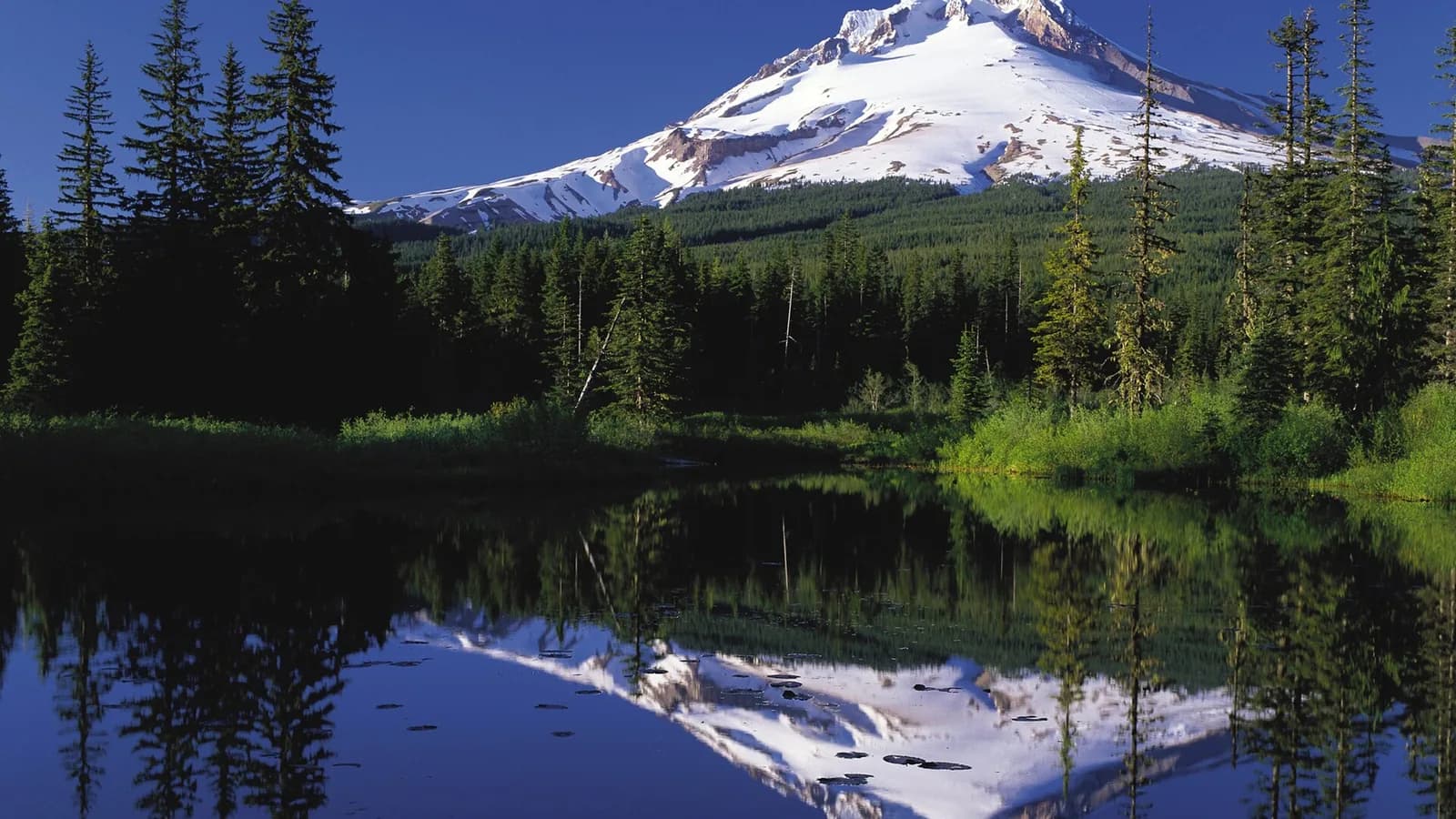 Gresham Main Avenue with Mount Hood visible on a clear day
