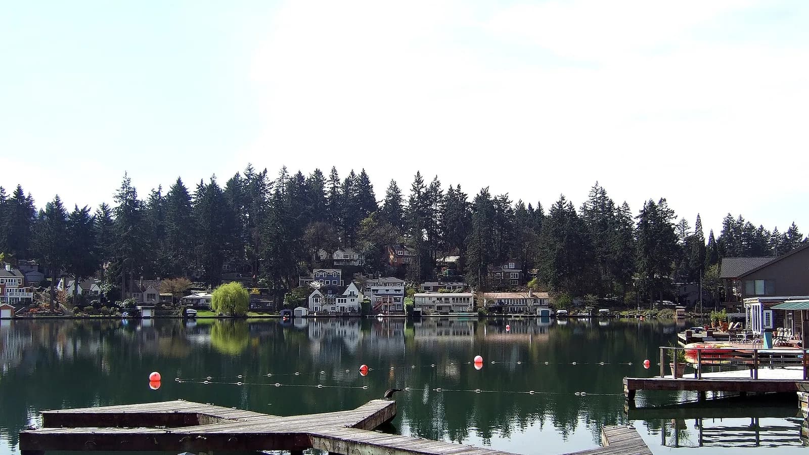 Lake Oswego lakeside path and fir canopy