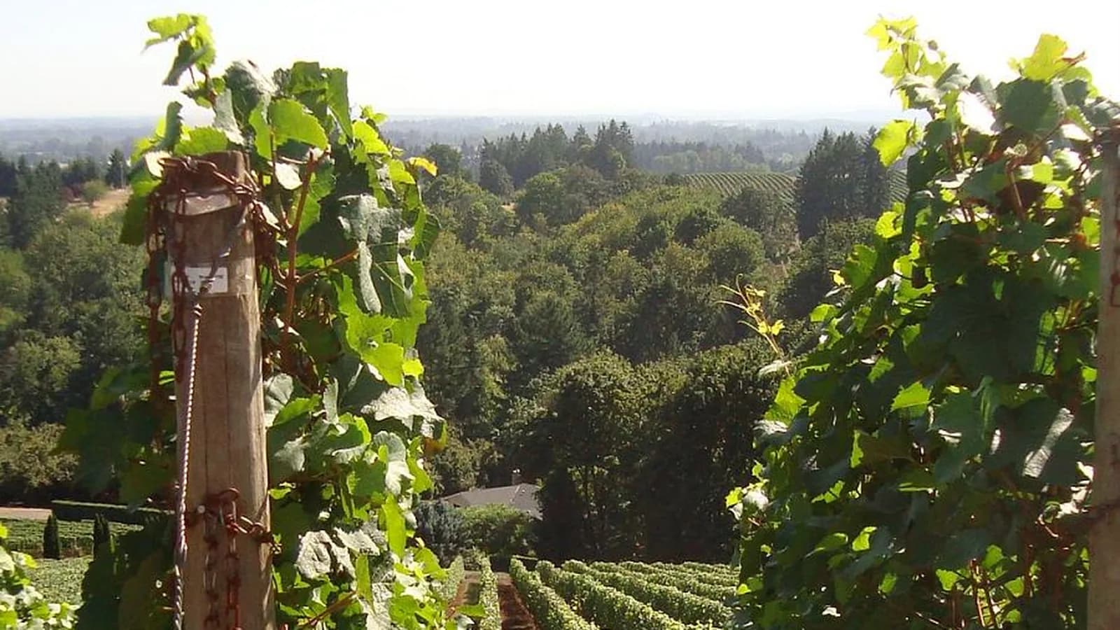 Wine Country RV Rental - RV rental for tailgating and events